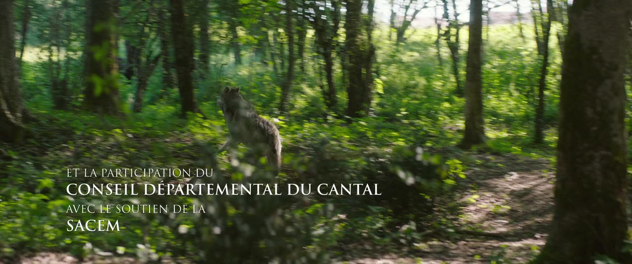 Mystère screenshot 1