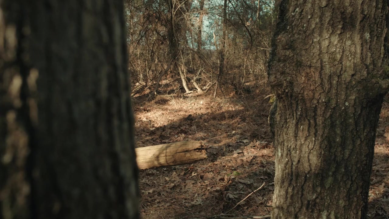 Mysterious Circumstance: The Death of Meriwether Lewis screenshot 3