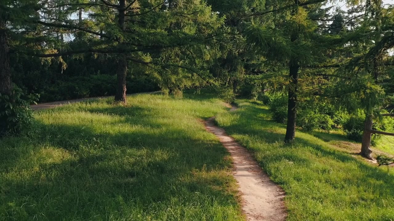Mysteries of the Southern Wild screenshot 2