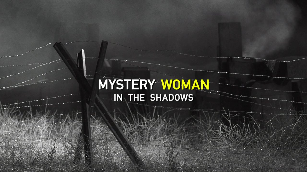 Mystery Woman: In the Shadows screenshot 1