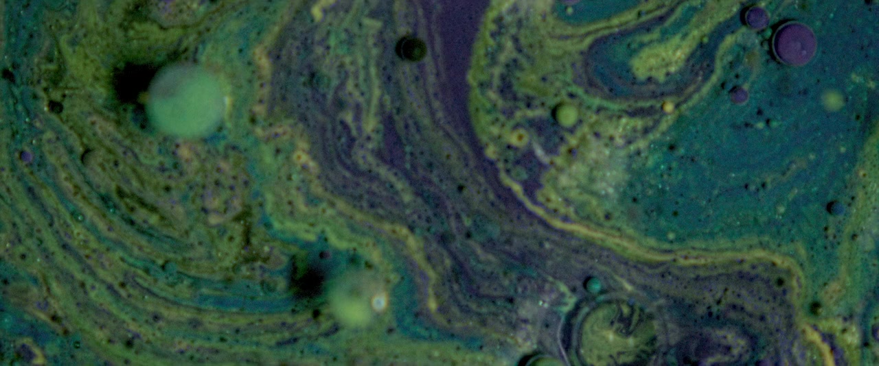 Not Alone screenshot 1