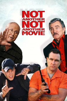 Not Another Not Another Movie (2011) poster
