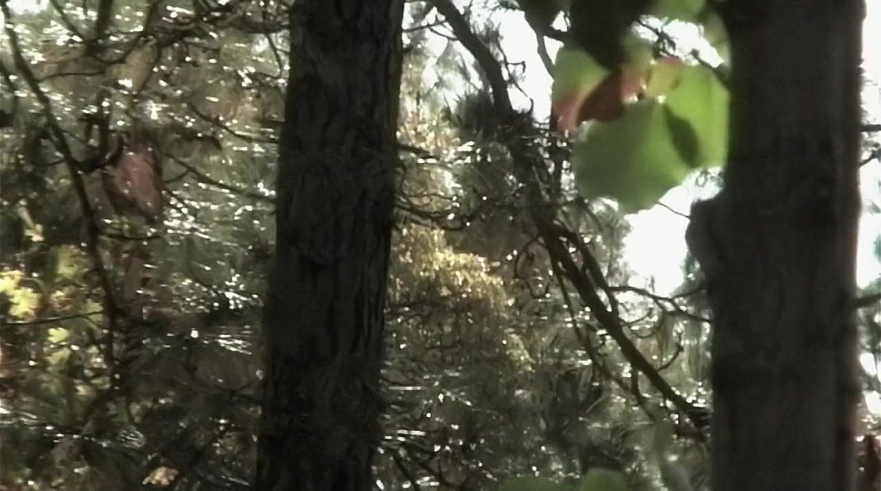 Not Another Sci-Fi Movie screenshot 3