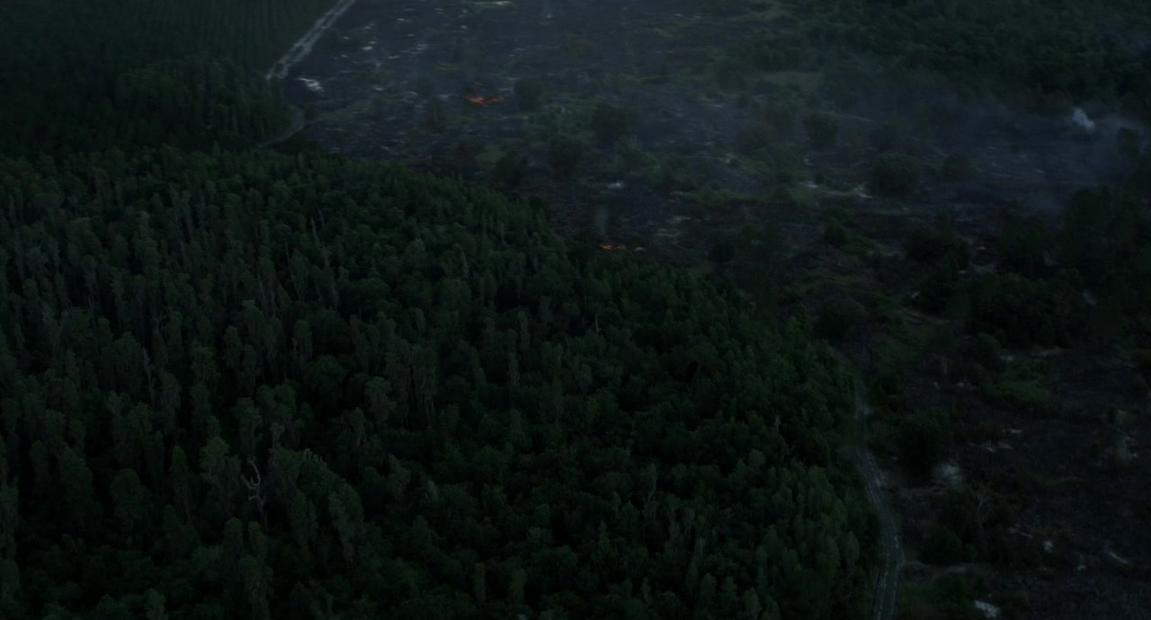 Not Waving But Drowning screenshot 3
