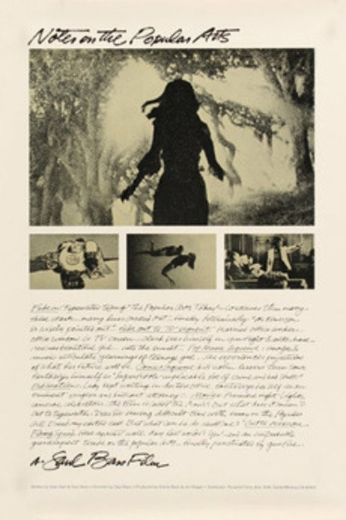 Notes on the Popular Arts (1978) poster