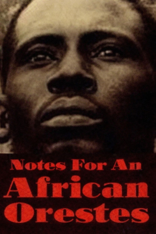 Appunti per un'Orestiade africana (1970) poster