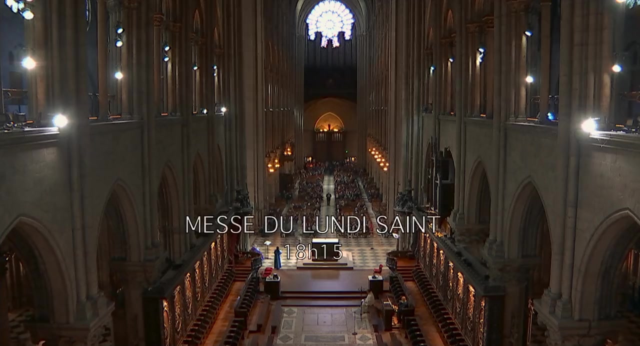Notre-Dame brûle screenshot 3