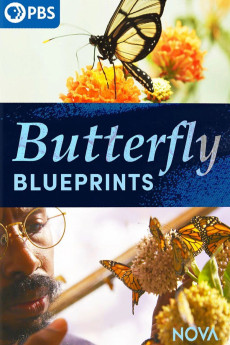 Butterfly Blueprints (2022) poster