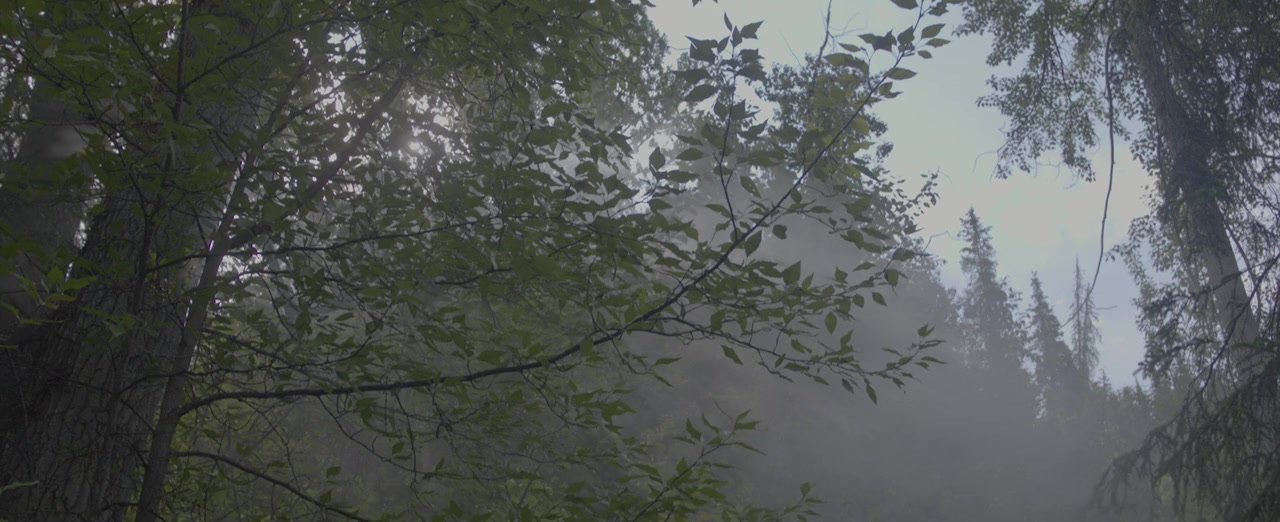 Nowhere Alaska screenshot 1