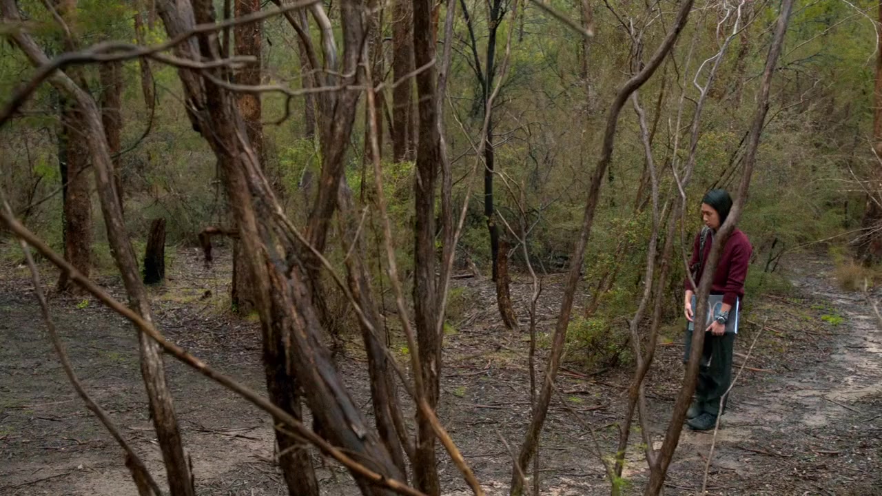 Nowhere Boys: The Book of Shadows screenshot 1