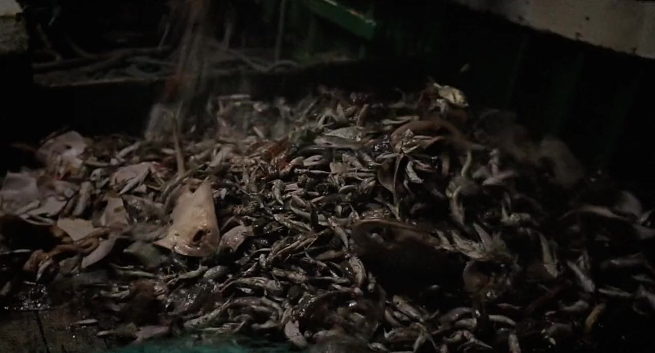 No Kings screenshot 3