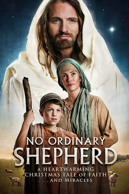 No Ordinary Shepherd (2014) poster