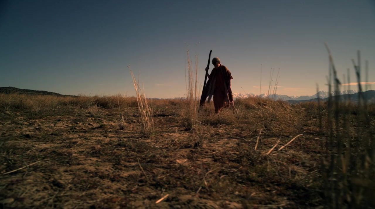 No Ordinary Shepherd screenshot 1