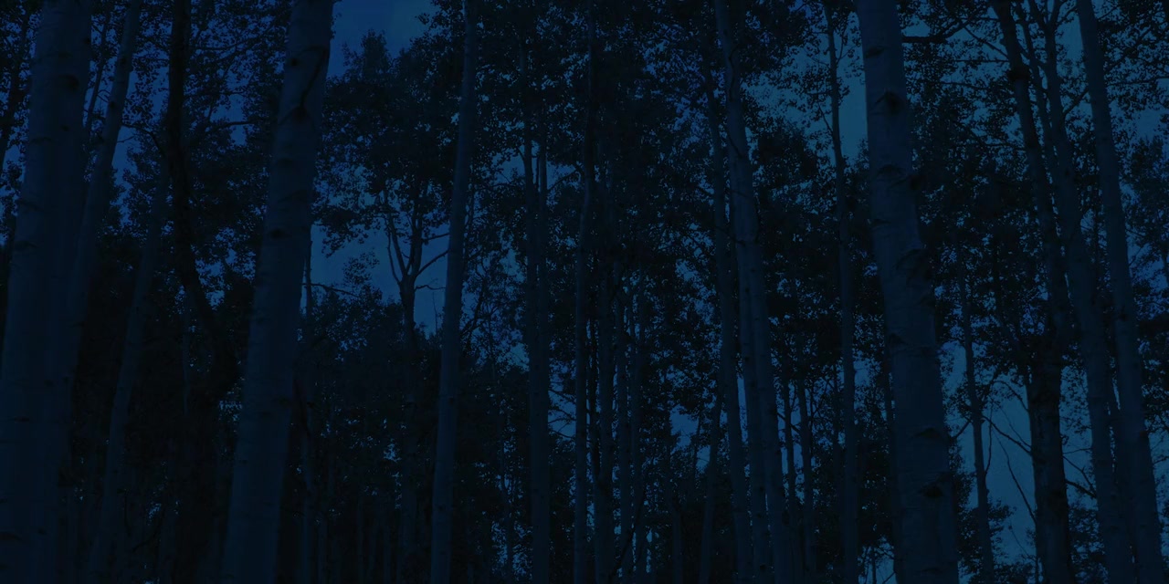 No More Time screenshot 1