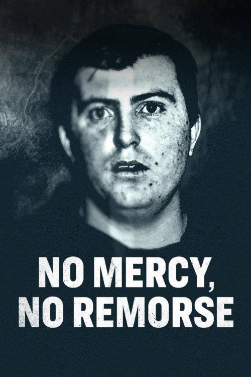 No Mercy, No Remorse (2022) poster