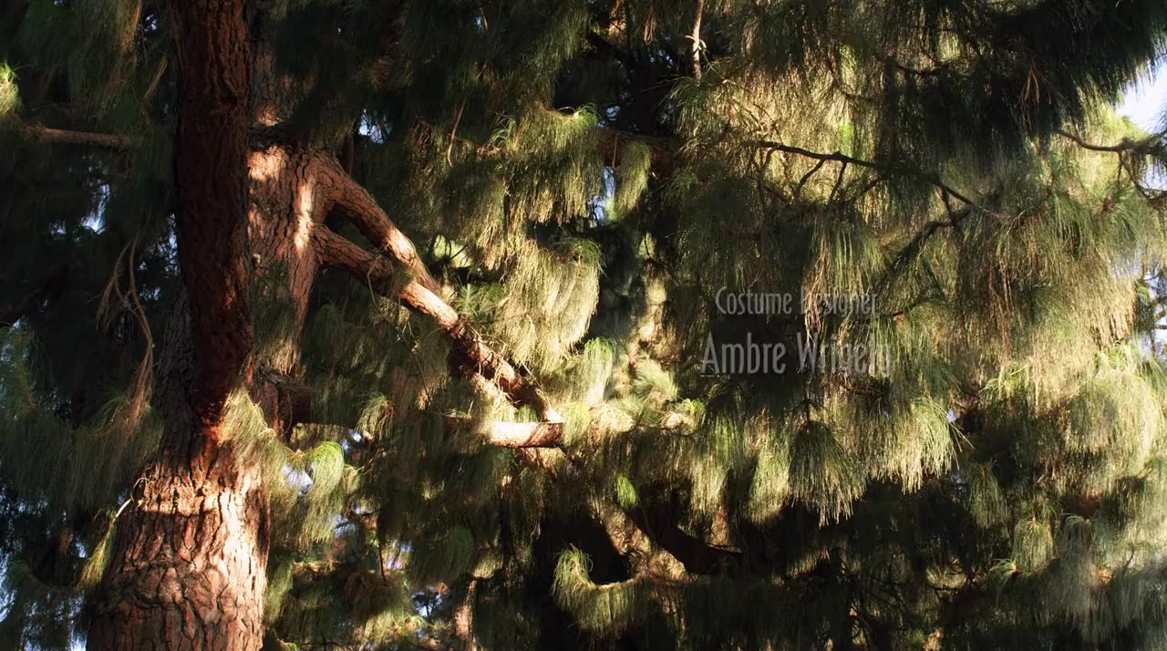 No Solicitors screenshot 3