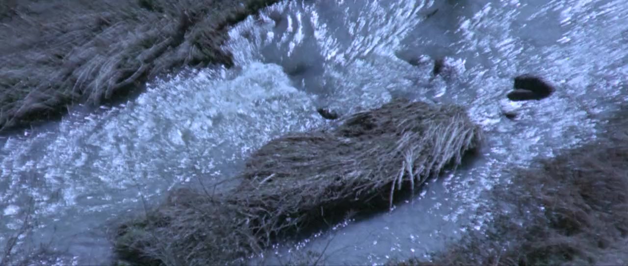 Una lunga fila di croci screenshot 1