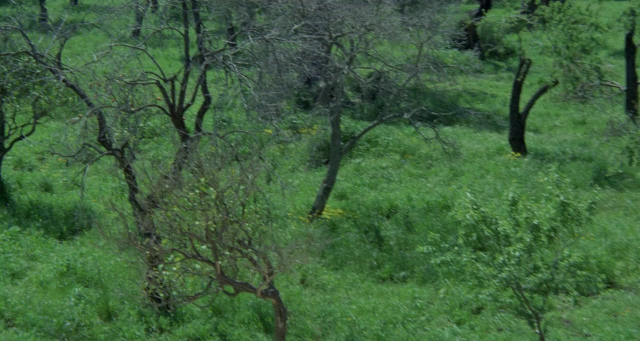 Tony Arzenta (Big Guns) screenshot 1