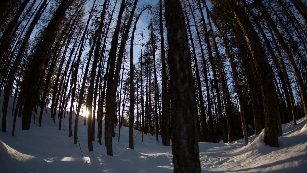 No Turning Back screenshot 1