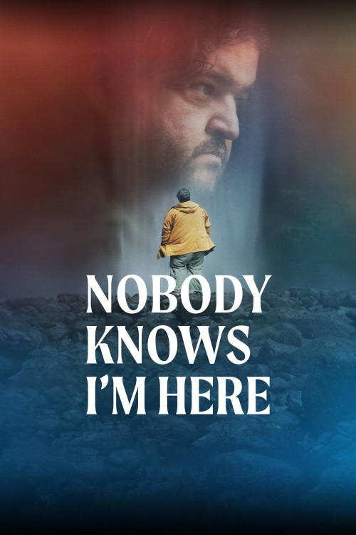 Nadie sabe que estoy aquí (2020) poster