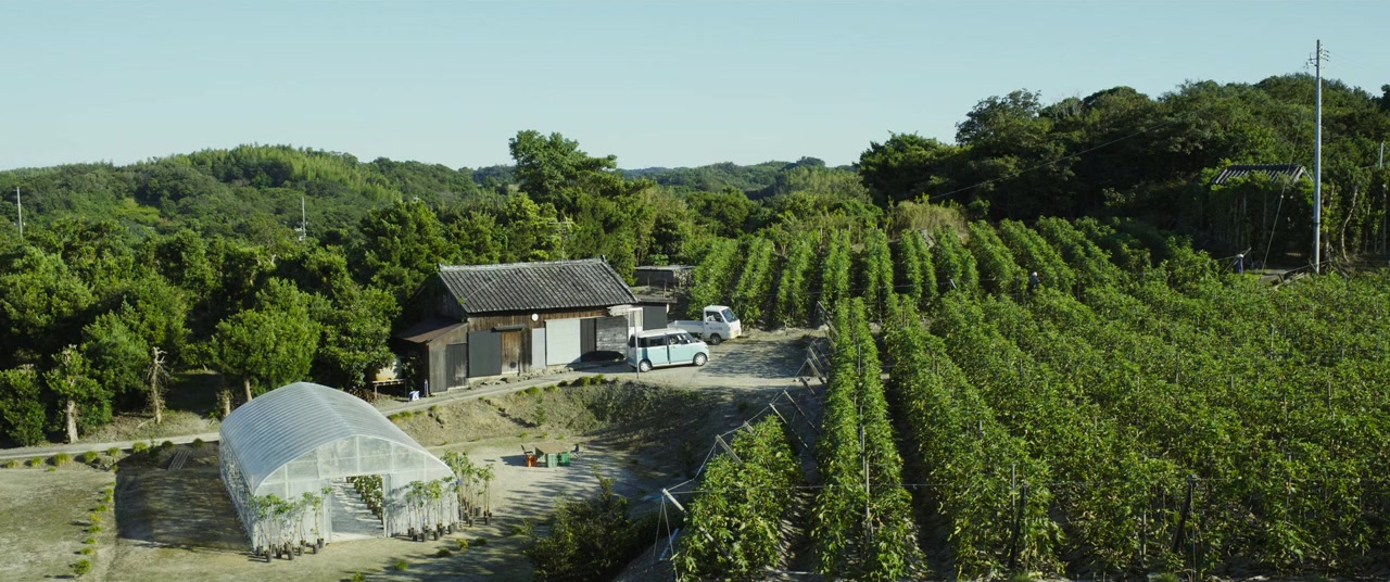 Noizu screenshot 1