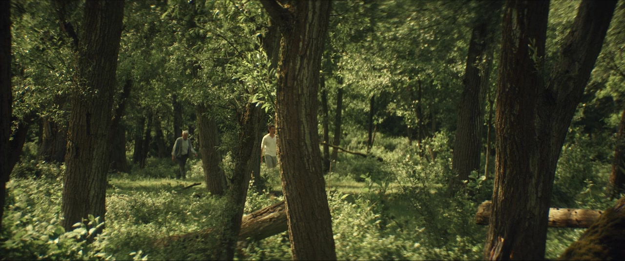 Noise screenshot 1