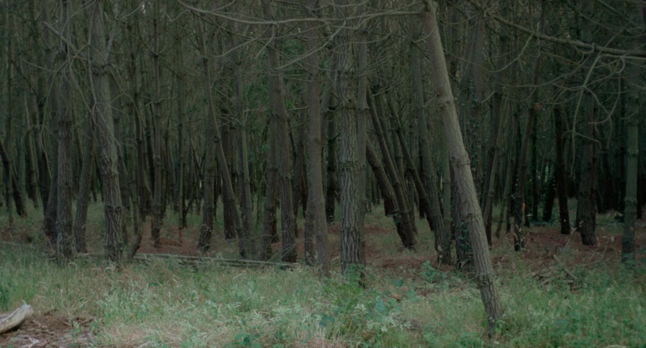 Noroît (une vengeance) screenshot 3