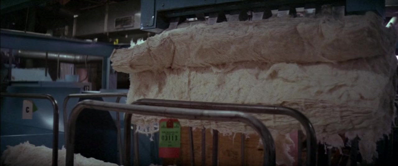 Norma Rae screenshot 2