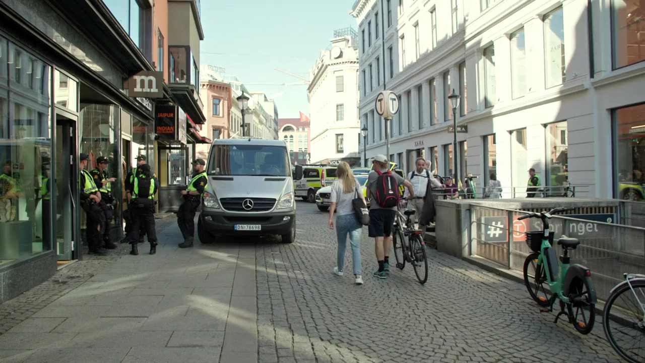 Norwegian Democrazy screenshot 1