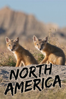 North America (2013) poster