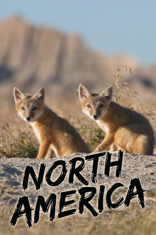 North America (2013) poster
