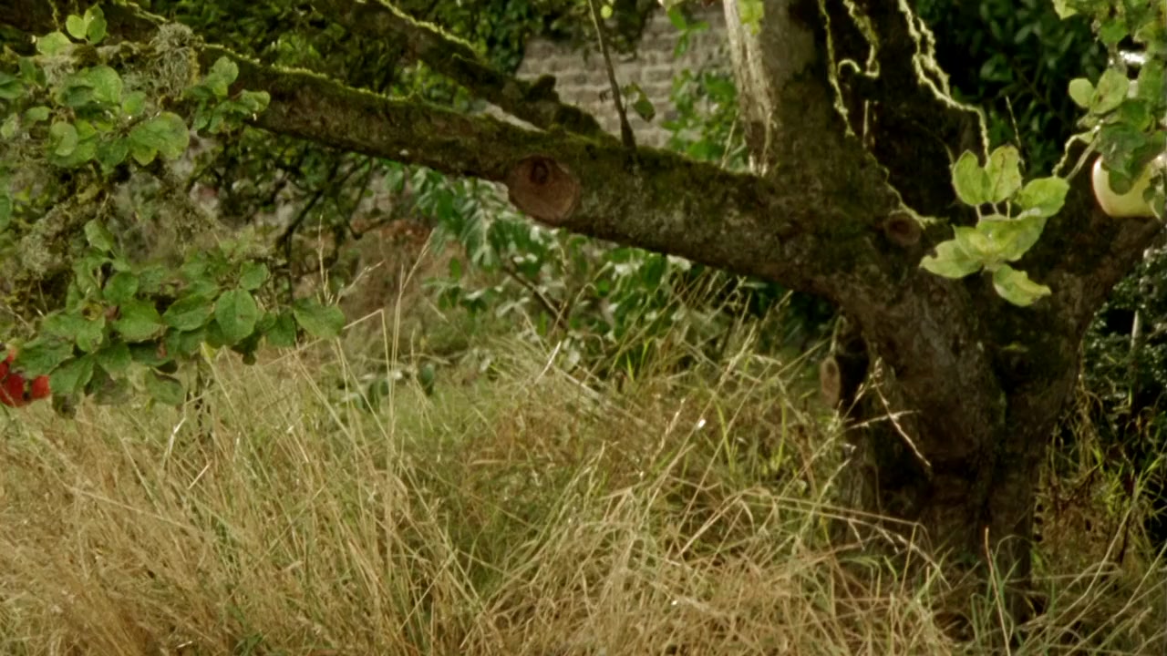 Northanger Abbey screenshot 1