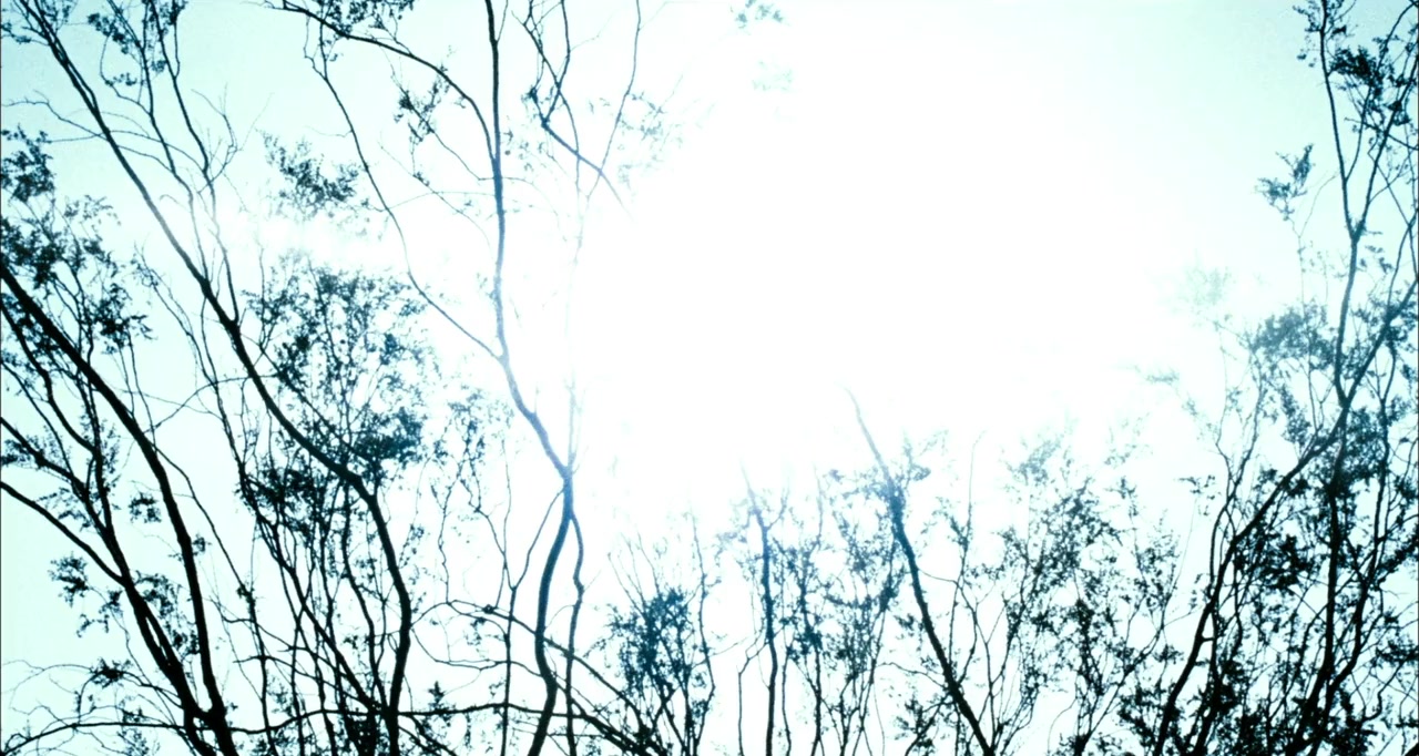 Norteado screenshot 1