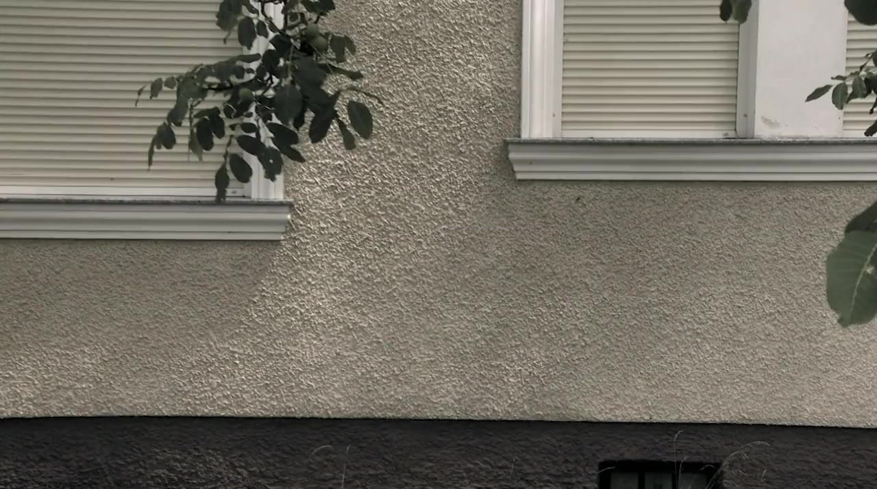Natascha Kampusch: The Whole Story screenshot 2