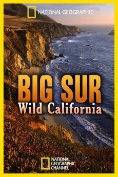 Big Sur-Wild California (2010) poster