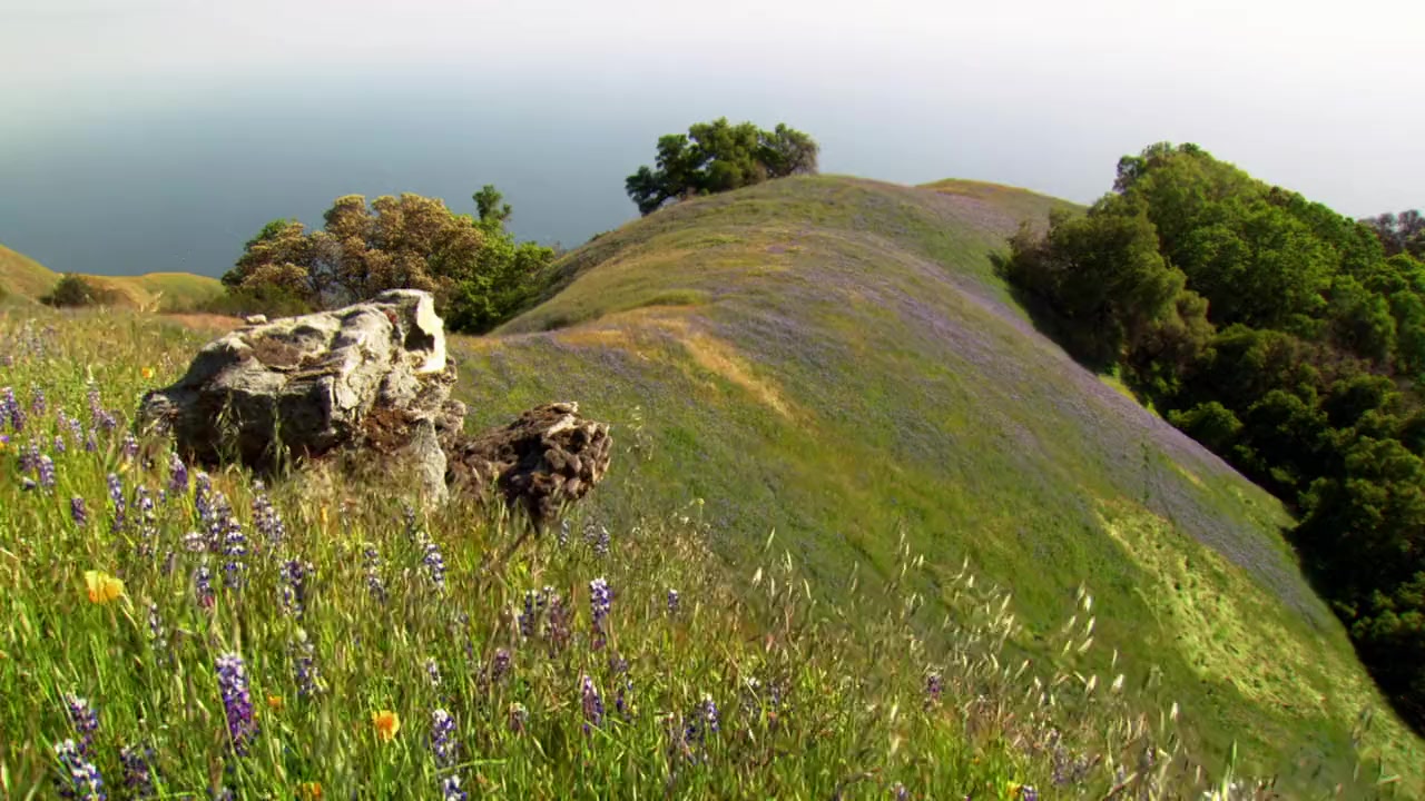 Big Sur-Wild California screenshot 1