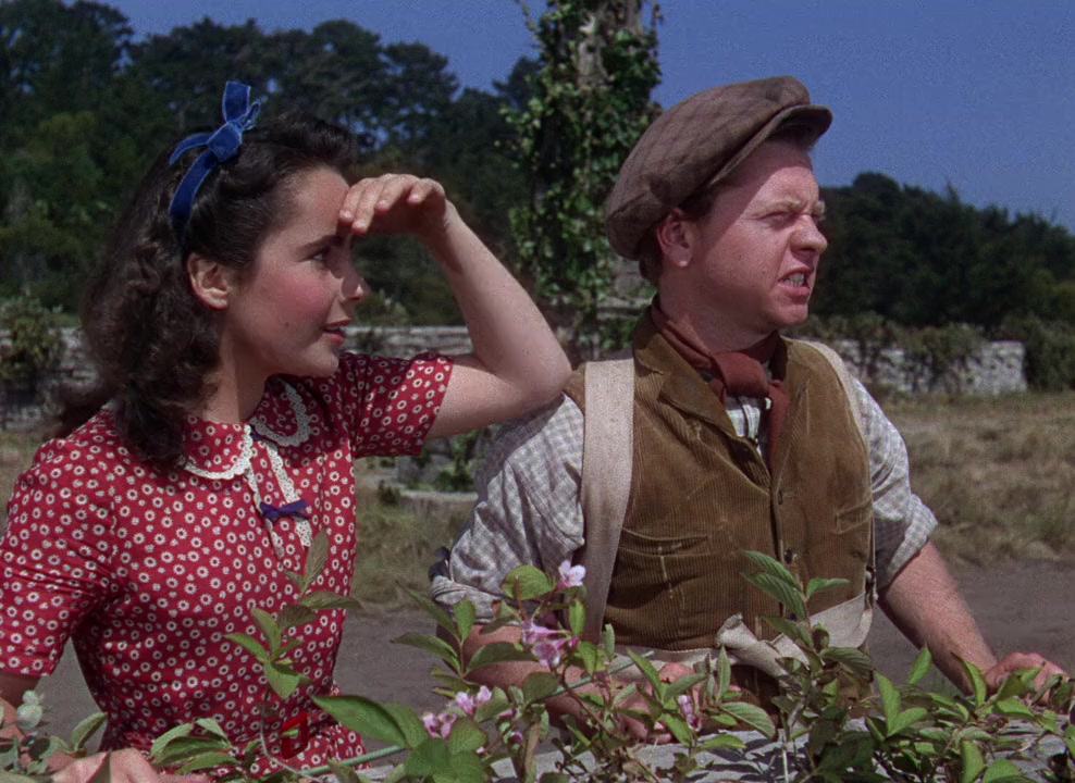 National Velvet screenshot 1