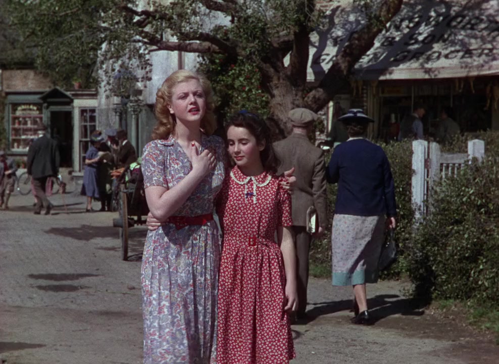 National Velvet screenshot 2