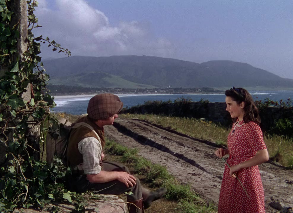 National Velvet screenshot 3