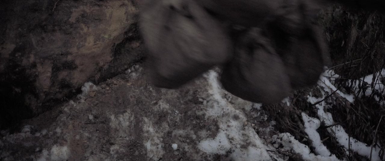 Természetes fény screenshot 3