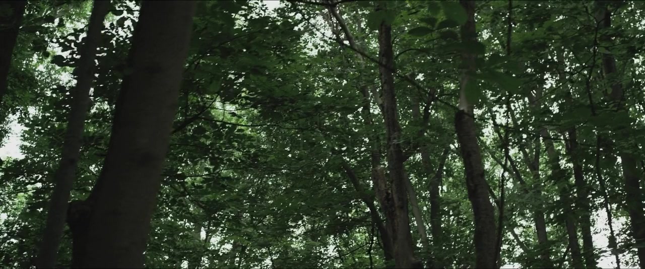 Natural Selection screenshot 1