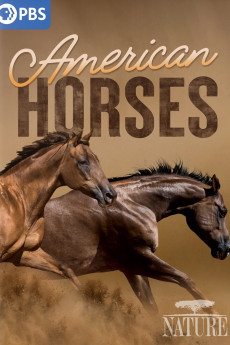 American Horses (2022) poster