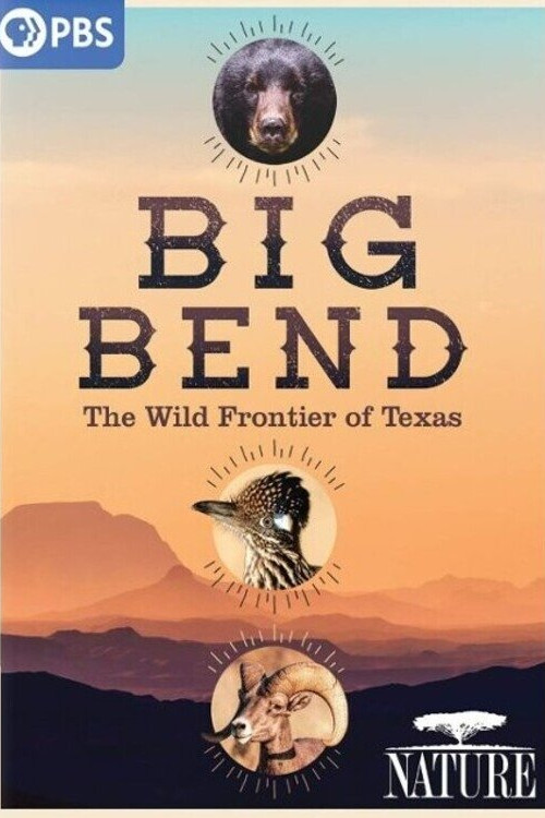 Big Bend: The Wild Frontier of Texas (2021) poster