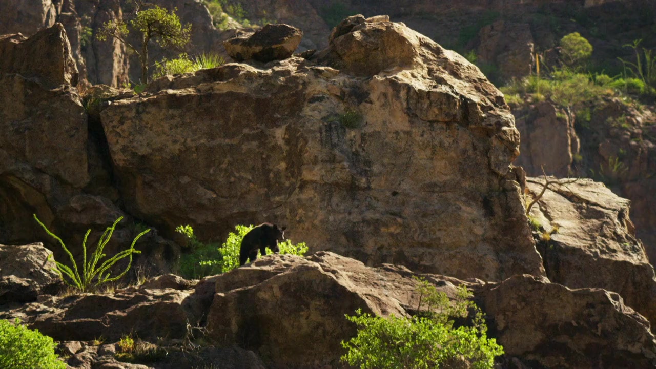 Big Bend: The Wild Frontier of Texas screenshot 2
