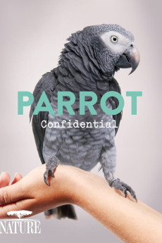 Parrot Confidential (2013) poster