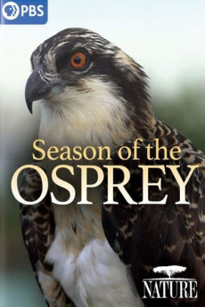 Season of the Osprey (2021) poster
