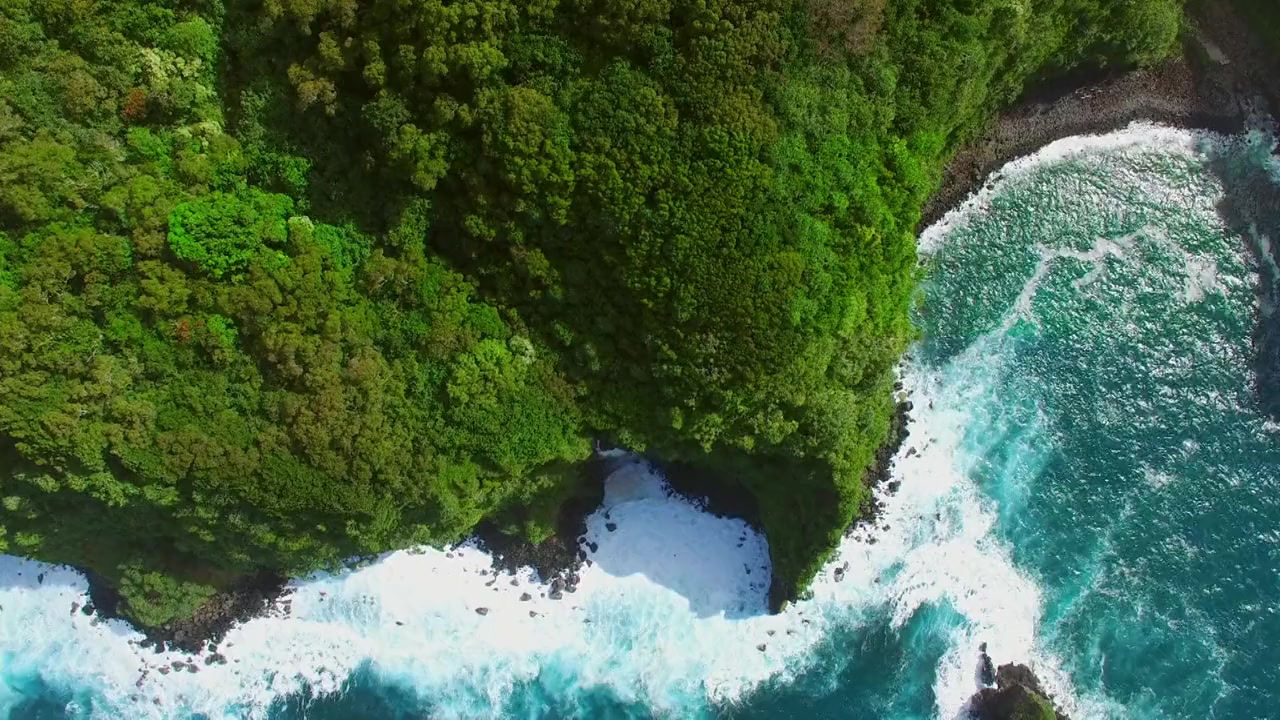 Sharks of Hawaii screenshot 1