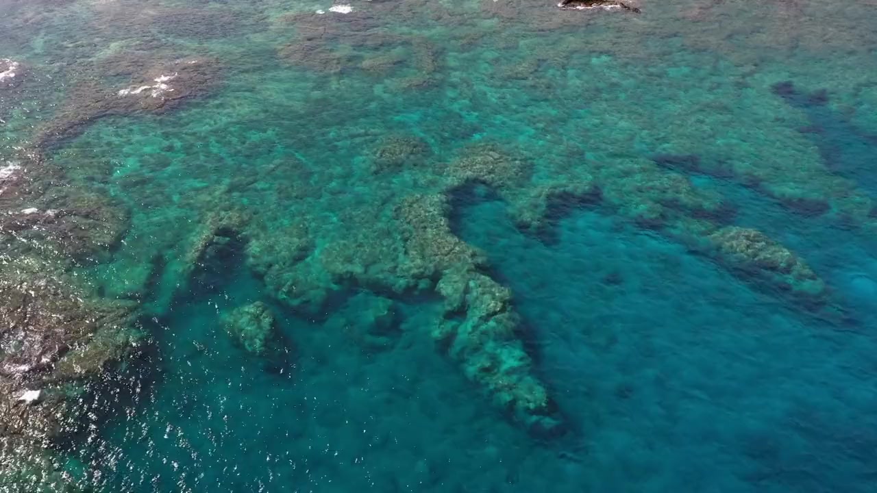 Sharks of Hawaii screenshot 3