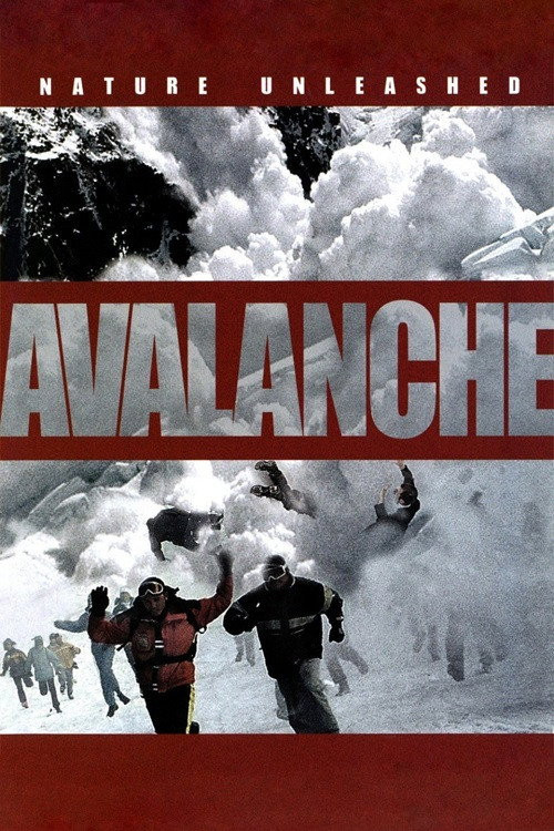 Nature Unleashed: Avalanche (2004) poster