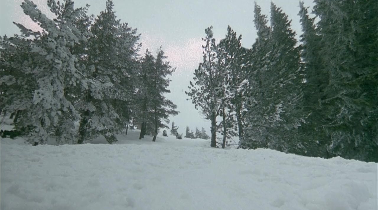 Nature Unleashed: Avalanche screenshot 2
